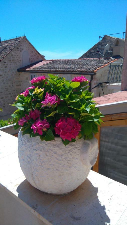 חוואר Old Town Hvar מראה חיצוני תמונה